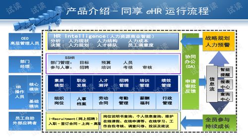 數(shù)字化時代的人力資源管理新范式 軟件與服務雙輪驅動
